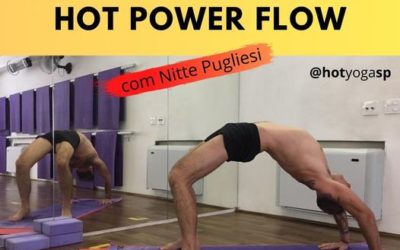 Workshop Hot Power Flow com Nitte Pugliesi